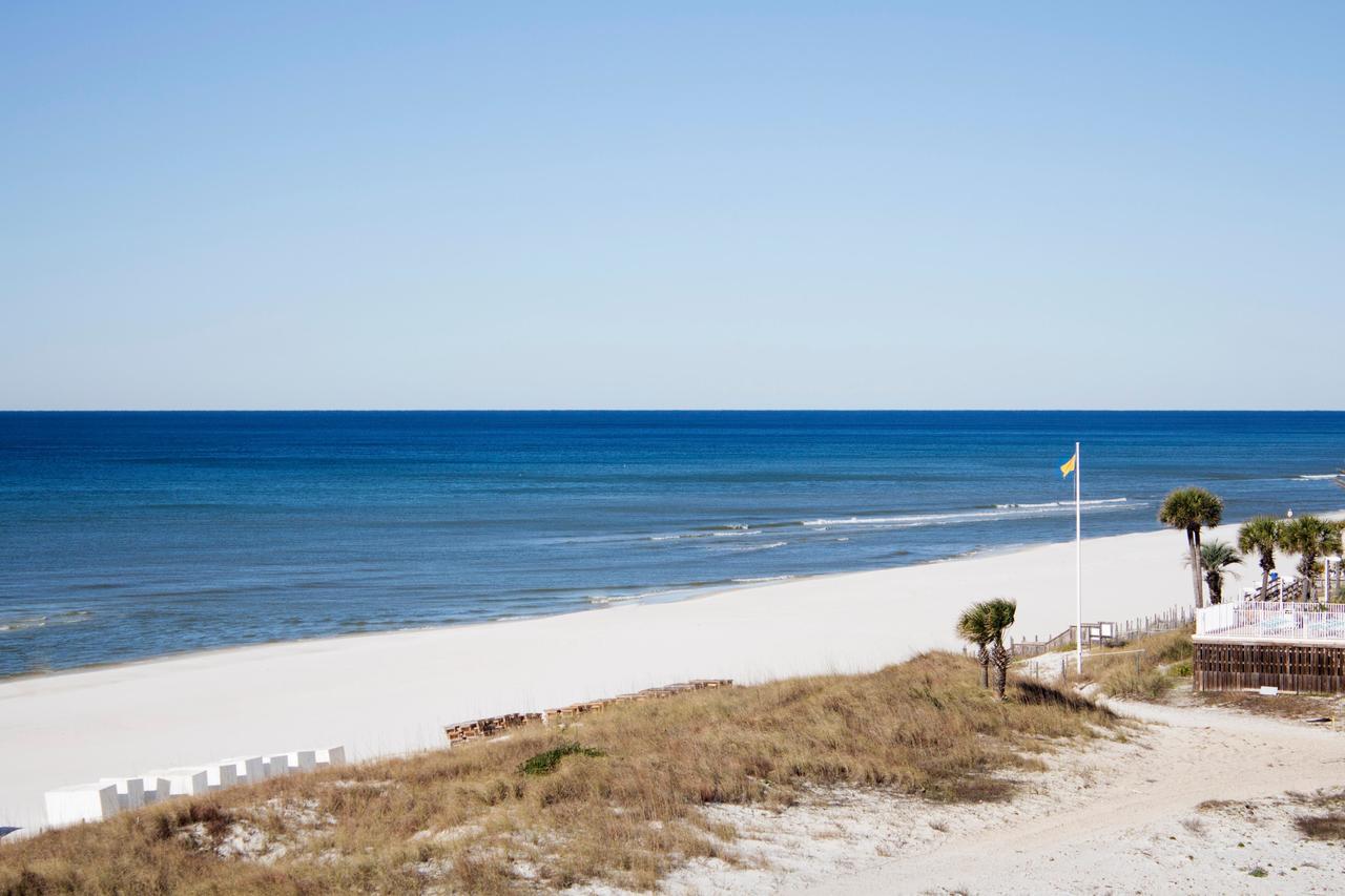 Top Of The Gulf Apartment *
